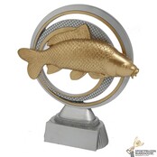 Vissen award  in diverse hoogtes