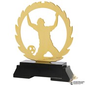Voetbal Trofee in verschillende afmetingen