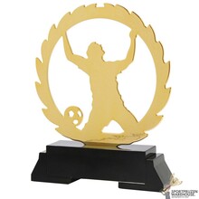 Voetbal Trofee in verschillende afmetingen - L235