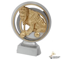 Biljart - Resin award