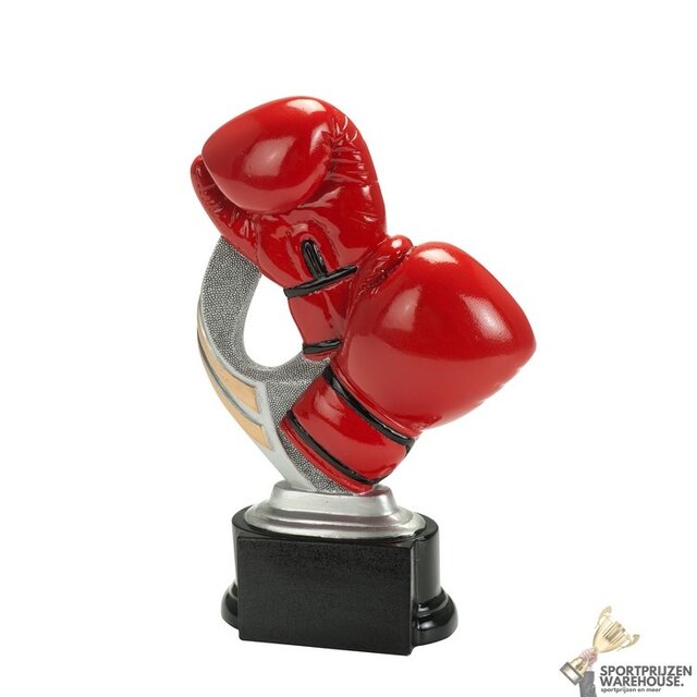 Boks handschoenen award