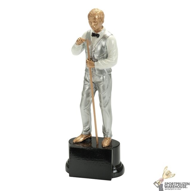 Resin award in diverse hoogtes