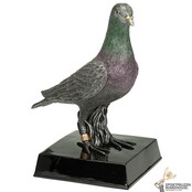 Duiven award  in diverse hoogtes