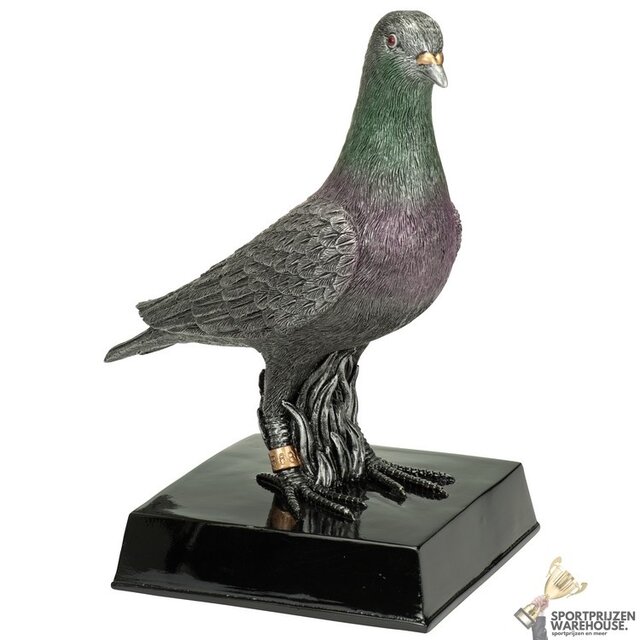 Duiven award  in diverse hoogtes