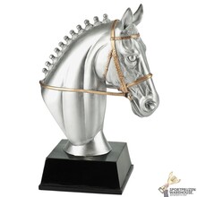 Paarden sport award in diverse hoogtes - RE.120