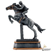 Paarden sport award in diverse hoogtes Paarden sport award in diverse hoogtes