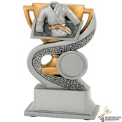 Judo award