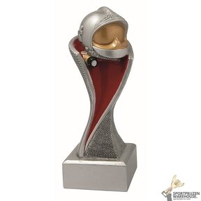 Brandweer award - FG4193
