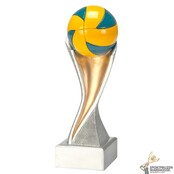 Volleybal award