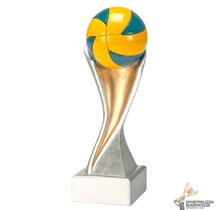 Volleybal award