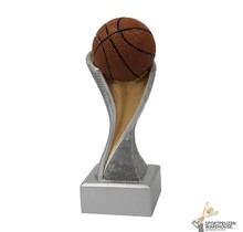 Basketbal resin award
