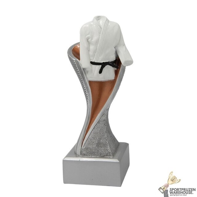 Judo award in goud, zilver of brons