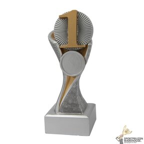 Resin award in het goud, zilver of brons - FG4043