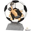 Voetbal award in diverse hoogtes