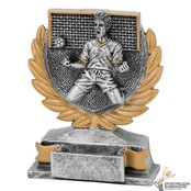 Voetbal award in diverse hoogtes
