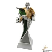 Luxe voetbal award  in diverse hoogtes