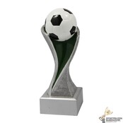 Voetbal award