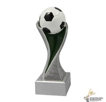 Voetbal award