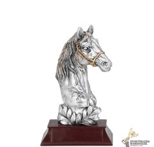 Paarden sport award