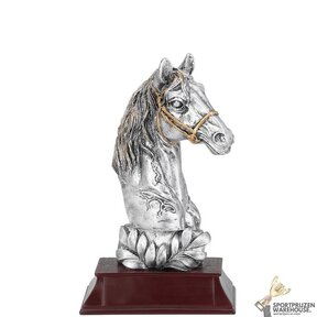 Paarden sport award - FG351