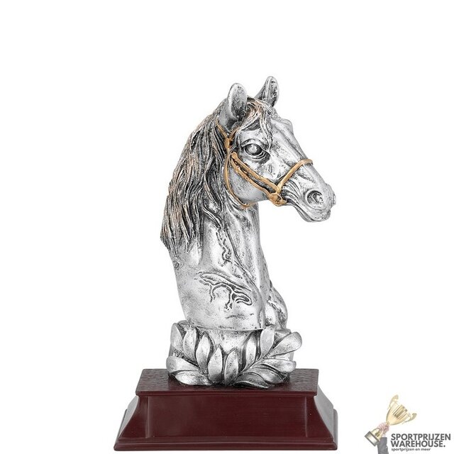 Paarden sport award