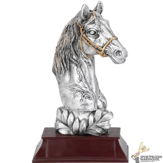 Paarden sport award