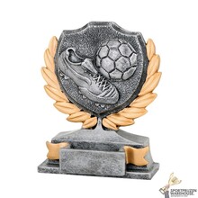 Voetbal award - FG155