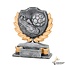 Voetbal award