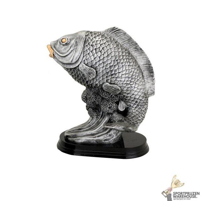 Vissen award  in diverse hoogtes