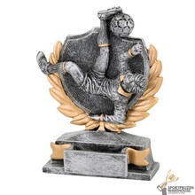 Voetbal award - FG156