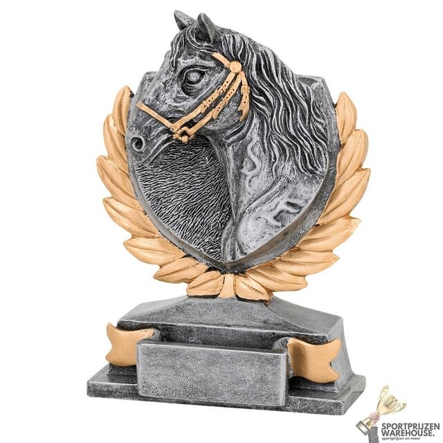 Paarden sport award
