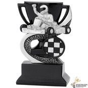 Racing award