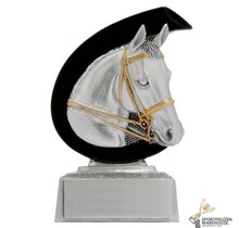 Paarden sport award