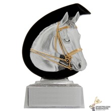 Paarden sport award - FG256