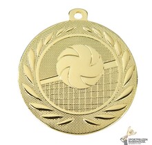 Medaille Volleybal
