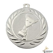 Medaille Kampioen Medaille Kampioen