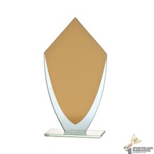Gouden glazen award in verschillende afmetingen - W283