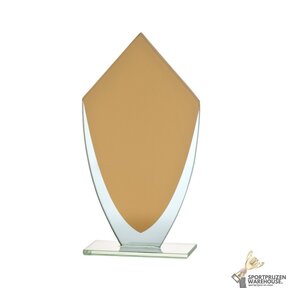 Gouden glazen award in verschillende afmetingen - W283