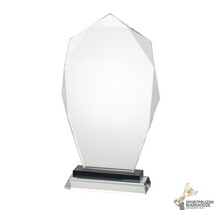 Chique glazen award in verschillende afmetingen