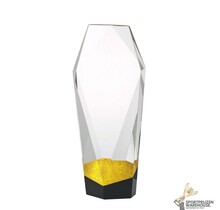 Luxurious glazen award in verschillende afmetingen