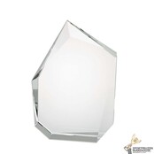 Losstaande glazen award in verschillende afmetingen