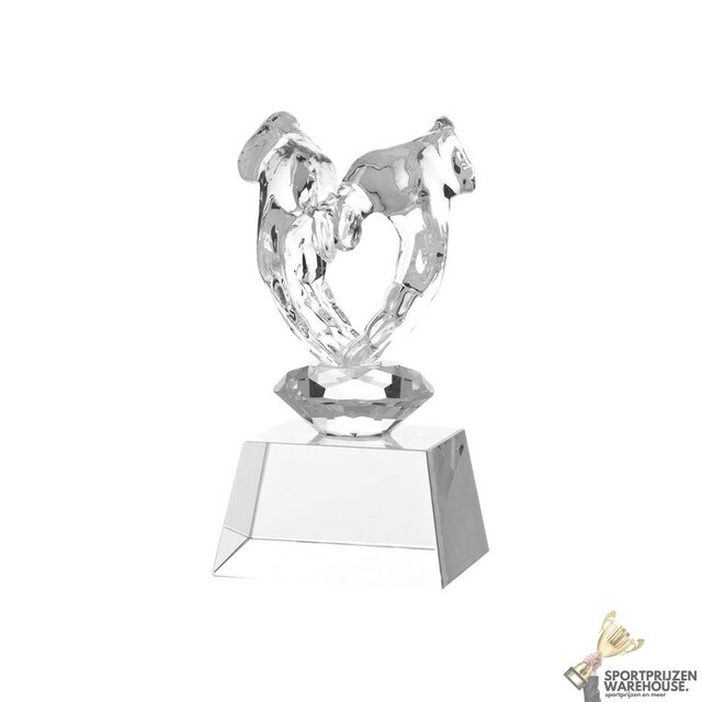 Love symbol glazen award in verschillende afmetingen