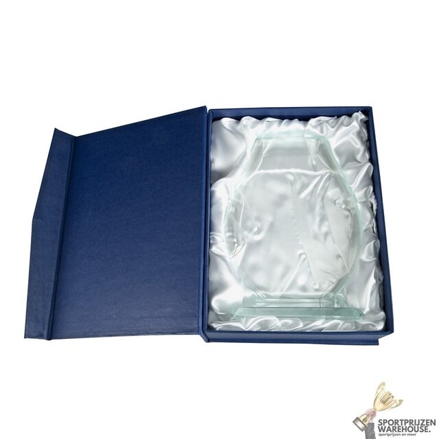 Mooie glazen award in verschillende afmetingen