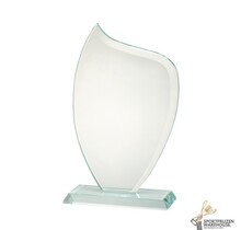 Sierlijke glazen award in verschillende afmetingen