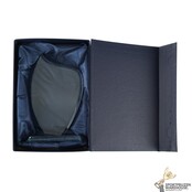 Sierlijke glazen award in verschillende afmetingen