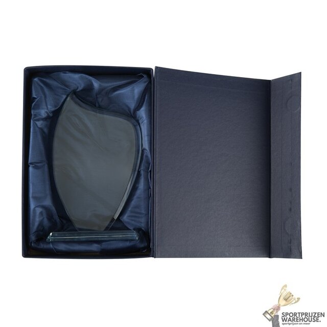 Sierlijke glazen award in verschillende afmetingen