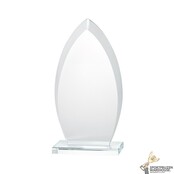 Ovale glazen award in verschillende afmetingen