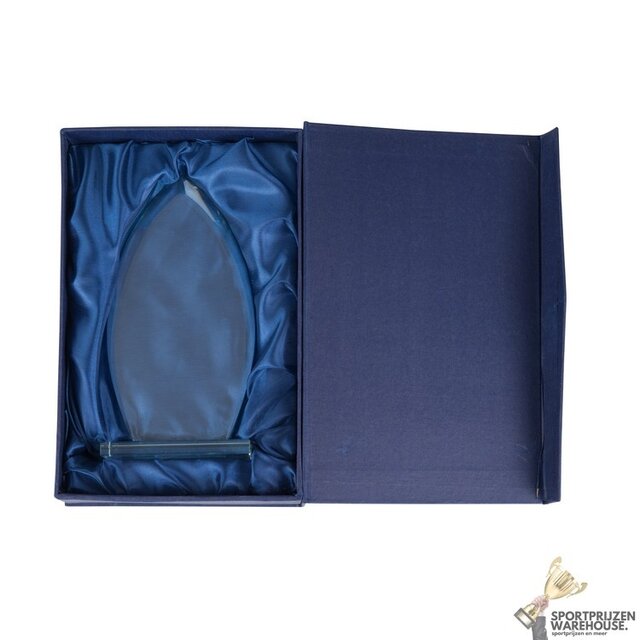 Ovale glazen award in verschillende afmetingen