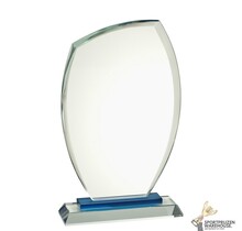 Mooi ovale glazen award in verschillende afmetingen
