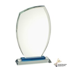 Mooi ovale glazen award in verschillende afmetingen - GL.029
